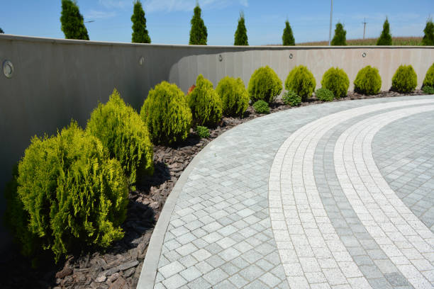 Professional Driveway Pavers in Hemphill, TX