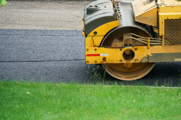 Best Professional Driveway Pavers  in Hemphill, TX